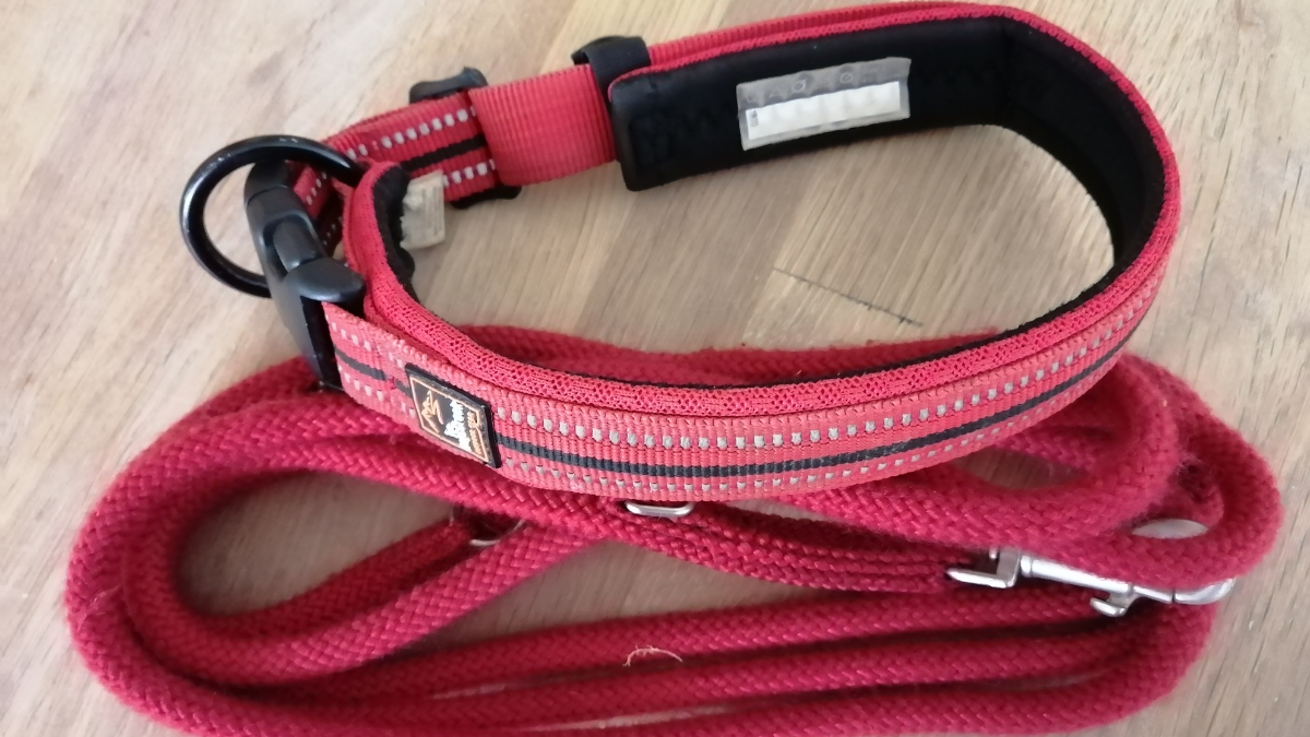 Halsband und Leine